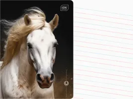 interdruk-zeszyt-a5-linia-dwukolorowa-16-kartek-w-linie-wild-horses-kon