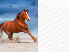 interdruk-zeszyt-a5-linia-dwukolorowa-16-kartek-w-linie-wild-horses-kon