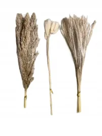 6x-galezie-do-dekoracji-kompozycji-kwiatowej-zestawy