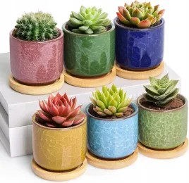 doniczki-ceramiczne-6-sztuk-zestaw-z-podstawka