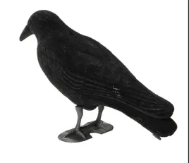 odstraszacz-ptakow-kruk