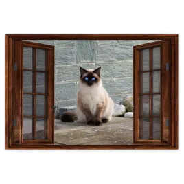 naklejki-60x40-kot-kotek-kotki-kicia