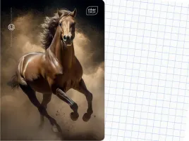 interdruk-szkolny-zeszyt-a5-kratka-16-kartek-w-kratke-wild-horses-kon
