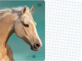 interdruk-szkolny-zeszyt-a5-kratka-16-kartek-w-kratke-wild-horses-kon