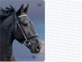 interdruk-szkolny-zeszyt-a5-kratka-16-kartek-w-kratke-wild-horses-kon