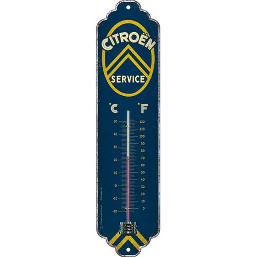 termometr-citroen-service