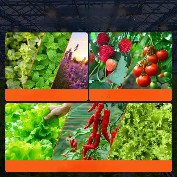 system-do-uprawy-hydroponicznej-cztery-doniczki-szerokosc-produktu-30-cm