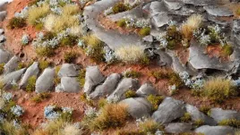 gamers-grass-forget-me-not-tiny-flowers-4-mm