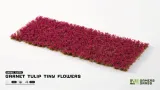 gamers-grass-garnet-tulip-tiny-flowers-4-mm-stan-nowy