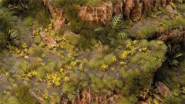 gamers-grass-dandelion-tiny-flowers-4-mm