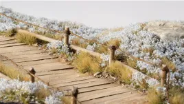 gamers-grass-light-blue-lilac-flowers-6-mm