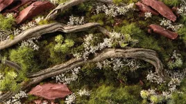 gamers-grass-white-rose-flowers-6-mm