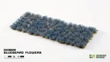 gamers-grass-bluebeard-flowers-6-mm-stan-nowy