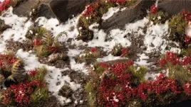 gamers-grass-laliguras-flowers-6-mm