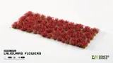gamers-grass-laliguras-flowers-6-mm-stan-nowy