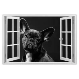 naklejki-60x40-czarny-francuski-buldog