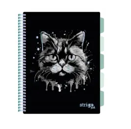 kolozeszyt-a4-100-pads-animals-kot-czarny-strigo