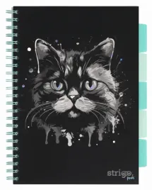 kolozeszyt-b5-100-pads-animals-kot-czarny-strigo