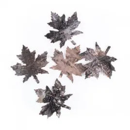 liscie-klonowe-z-kory-5-szt-dpza-084-dp-craft