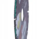 tarcza-diamentowa-1a1rss-125-rex-distar-stan-nowy
