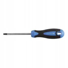 wkretak-torx-t30-100-mm-hoegert-ht1s058