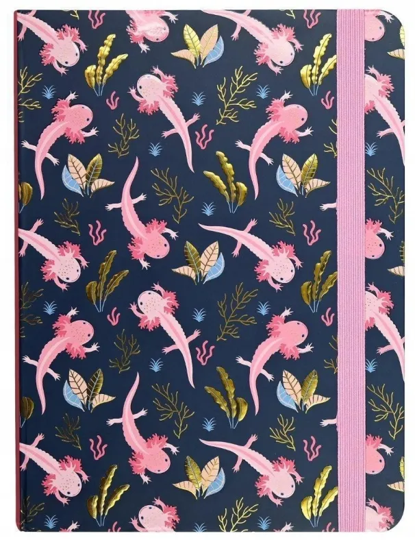 notatnik-midi-aksolotle