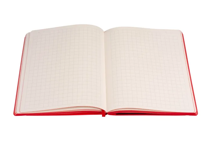 notes-indeed-b5-kratka-czerwony-antra-rodzaj-inny