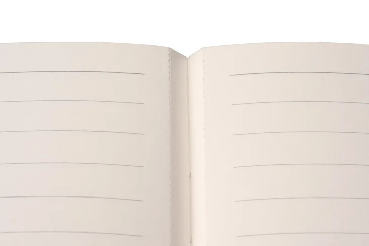 notes-indeed-b5-linia-czarny-antra-marka-antra