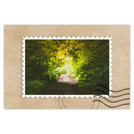 naklejki-90x60-zielone-listki-liscie