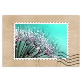 naklejki-90x60-krople-rosy-dmuchawiec