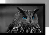 natec-owl-13-3-16-9