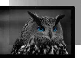 natec-owl-13-3-16-9
