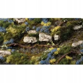 gamers-grass-bluebeard-flowers-gamers-grass