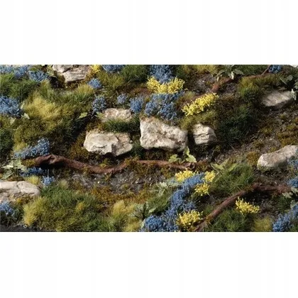 gamers-grass-bluebeard-flowers-gamers-grass