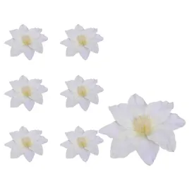 clematis-glowka-kremowa-6-sztuk