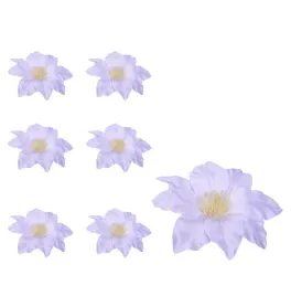 clematis-glowka-biala-6-sztuk