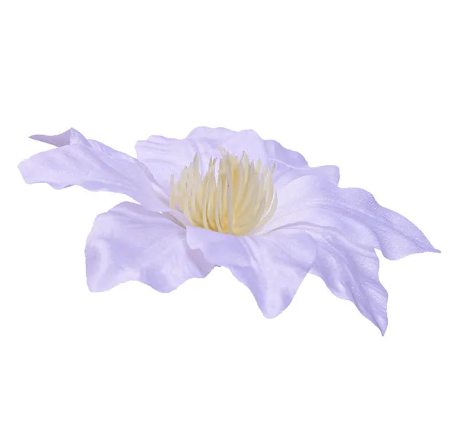 sztuczne-kwiaty-clematis-glowka-kwiatowa-wyrobowa-biala-6-sztuk-rodzaj-glowki-kwiatowe