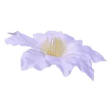 sztuczne-kwiaty-clematis-glowka-kwiatowa-wyrobowa-biala-6-sztuk-rodzaj-glowki-kwiatowe