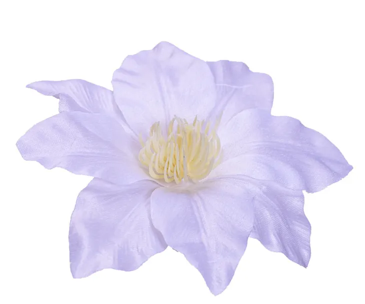 sztuczne-kwiaty-clematis-glowka-kwiatowa-wyrobowa-biala-6-sztuk-kod-produktu-sztuczne-kwiaty-glowki-kwiatowe