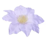 sztuczne-kwiaty-clematis-glowka-kwiatowa-wyrobowa-biala-6-sztuk-kod-produktu-sztuczne-kwiaty-glowki-kwiatowe