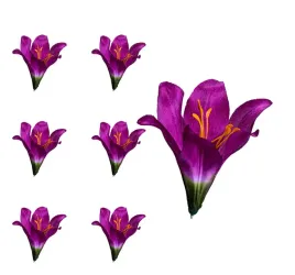 lilia-glowka-kwiatowa-purpurowa-6-sztuk