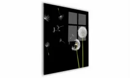 obraz-na-szkle-kwadratowy-60x60cm-015-dmuchawce