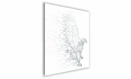 obraz-na-szkle-kwadratowy-60x60cm-074-orzel