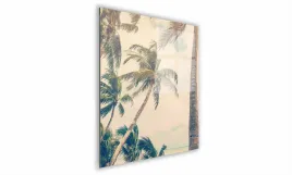 obraz-na-szkle-kwadratowy-60x60cm-076-palmy