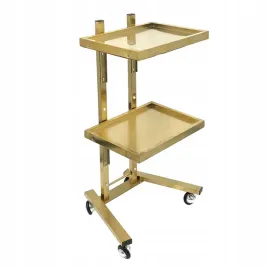 pomocnik-stolik-kosmetyczny-wozek-fryzjerski-regal-do-salonu-premium-zloty