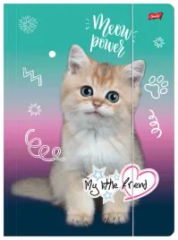 teczka-z-gumka-a4-my-little-friend-kitty-party-st-majewski