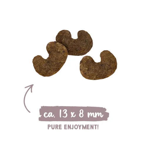 bosch-sanabelle-urinary-8kg