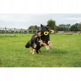 zeus-nitro-tugger-zabawka-22cm-kod-producenta-022517962251