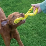 zeus-nitro-tugger-zabawka-22cm-nazwa-handlowa-zeus