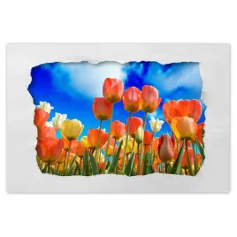 naklejki-120x80-kolorowe-tulipany-kwiaty